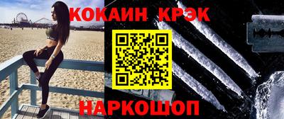 гашик Кингисепп