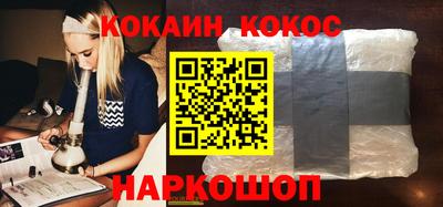 гашик Кингисепп