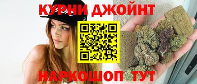 гашик Кингисепп