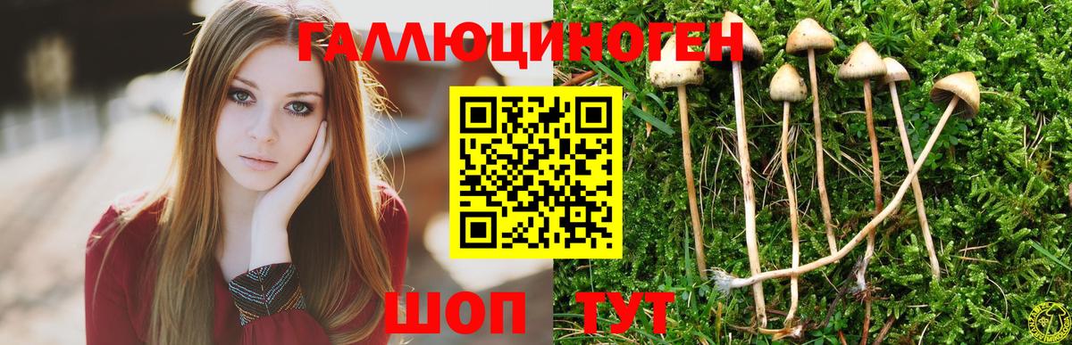 Комсомольск-на-Амуре  Галлюциногенные грибы мухоморы  Галлюциногенные грибы Psilocybe  Вход с VPN 