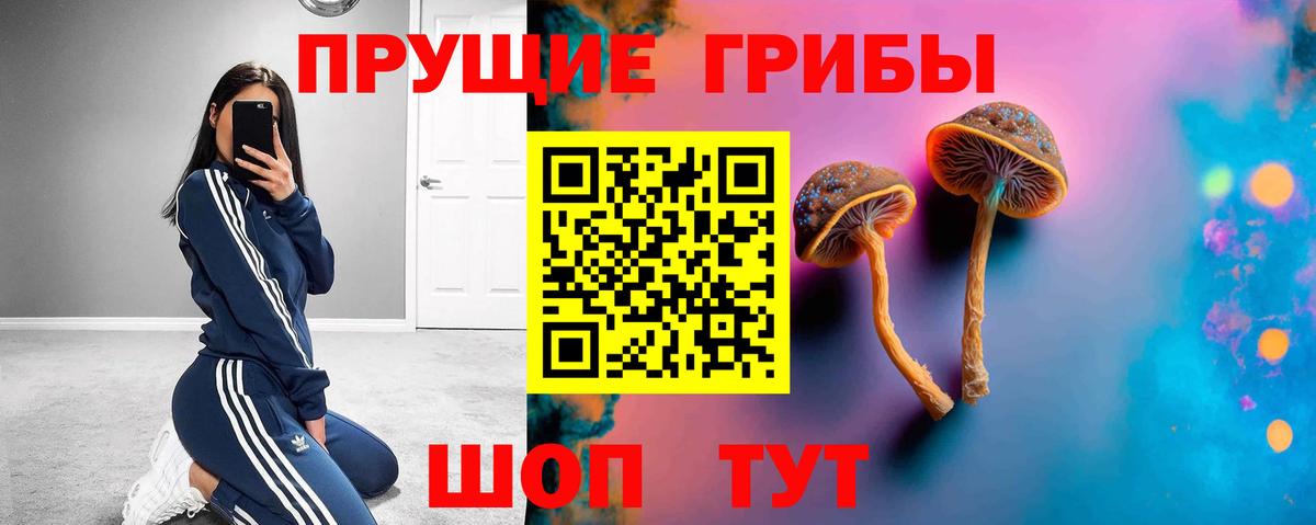 Галлюциногенные грибы мухоморы Комсомольск-на-Амуре